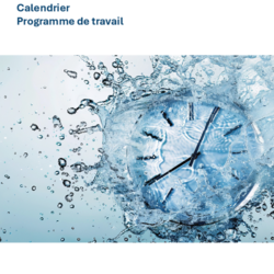 Mise à jour du plan de gestion pour le 4e cycle (2027-2033) - Calendrier et programme de travail thumbnail icon